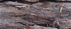 dark_flake