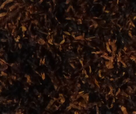 kentucky_maroon